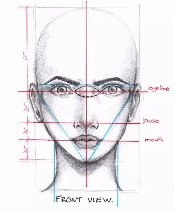 为什么学素描也要学速写,为什么要学素描简短回答