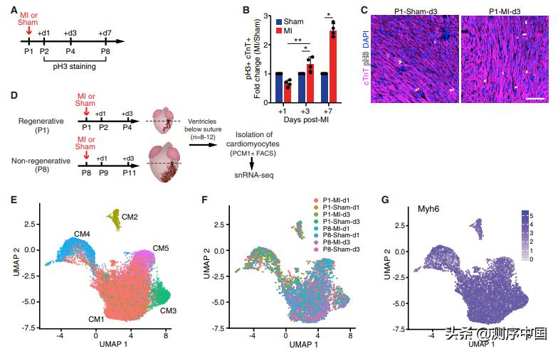 单细胞rna测序特点,纯干货分享阅读