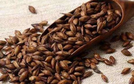 断奶回奶食物有哪些,断奶回奶食物