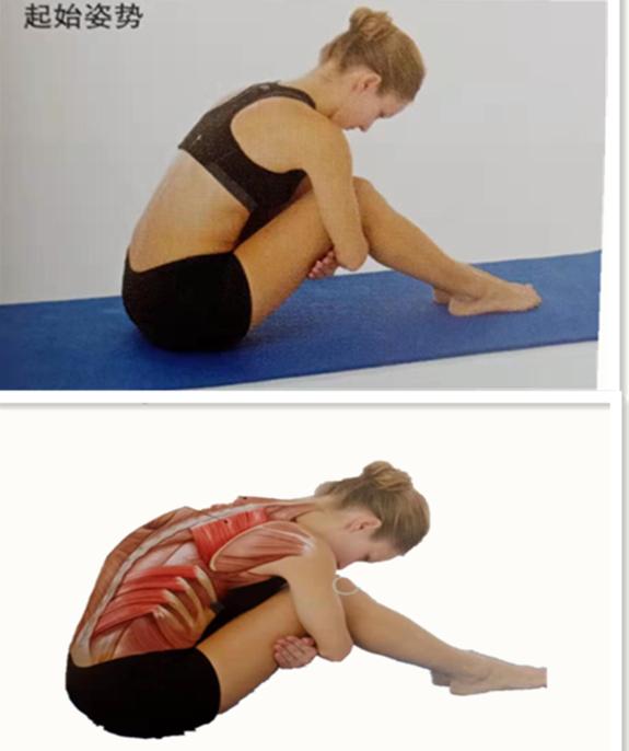 经常玩电脑腰酸背痛？大神教你6个独家拉伸技巧，背部轻松365天