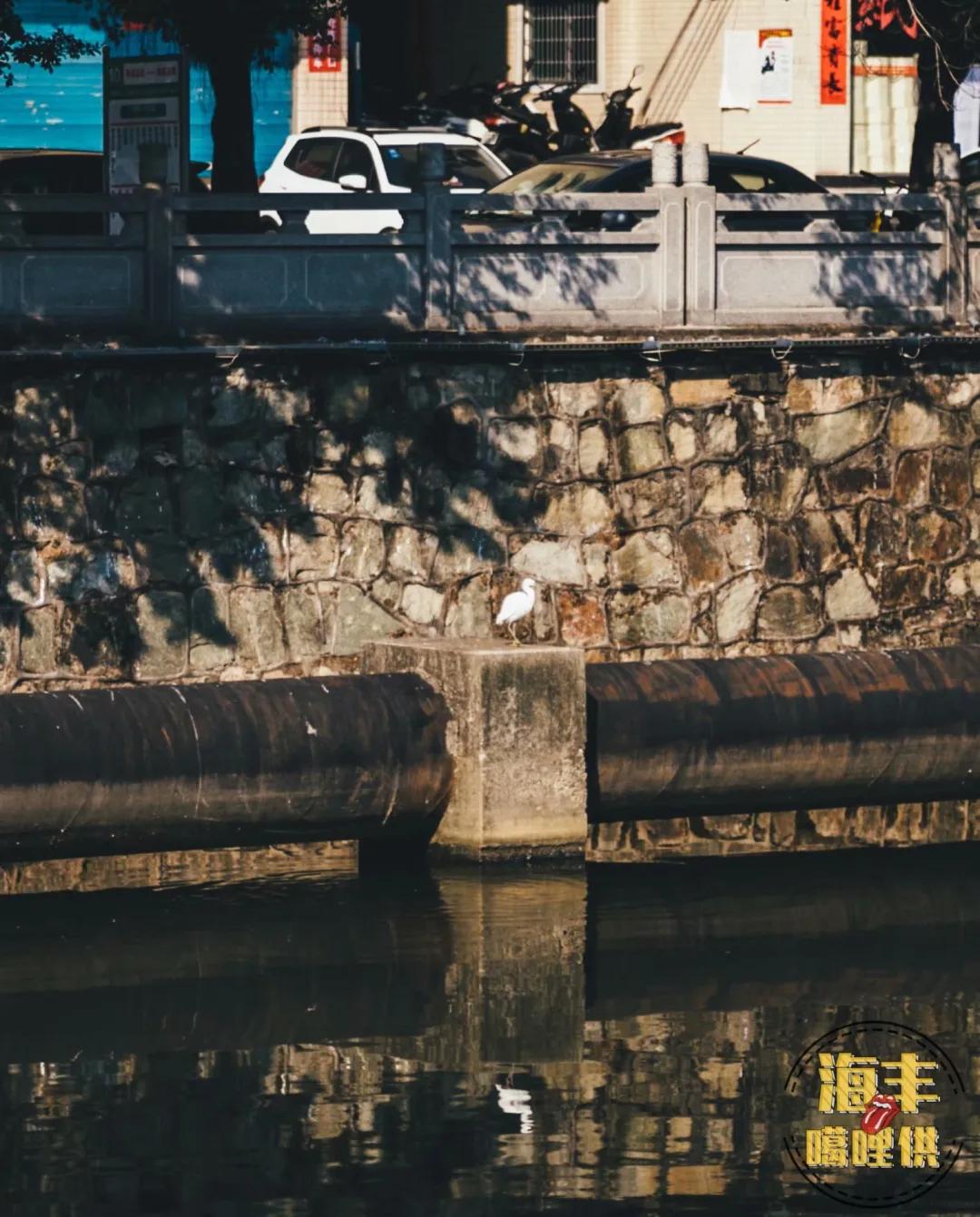 海丰一条母亲河在哪里,一条母亲河