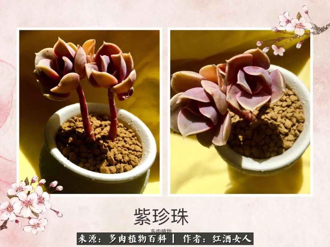 记录走过的美景留下美好的回忆,记录走过的每一段美好时光