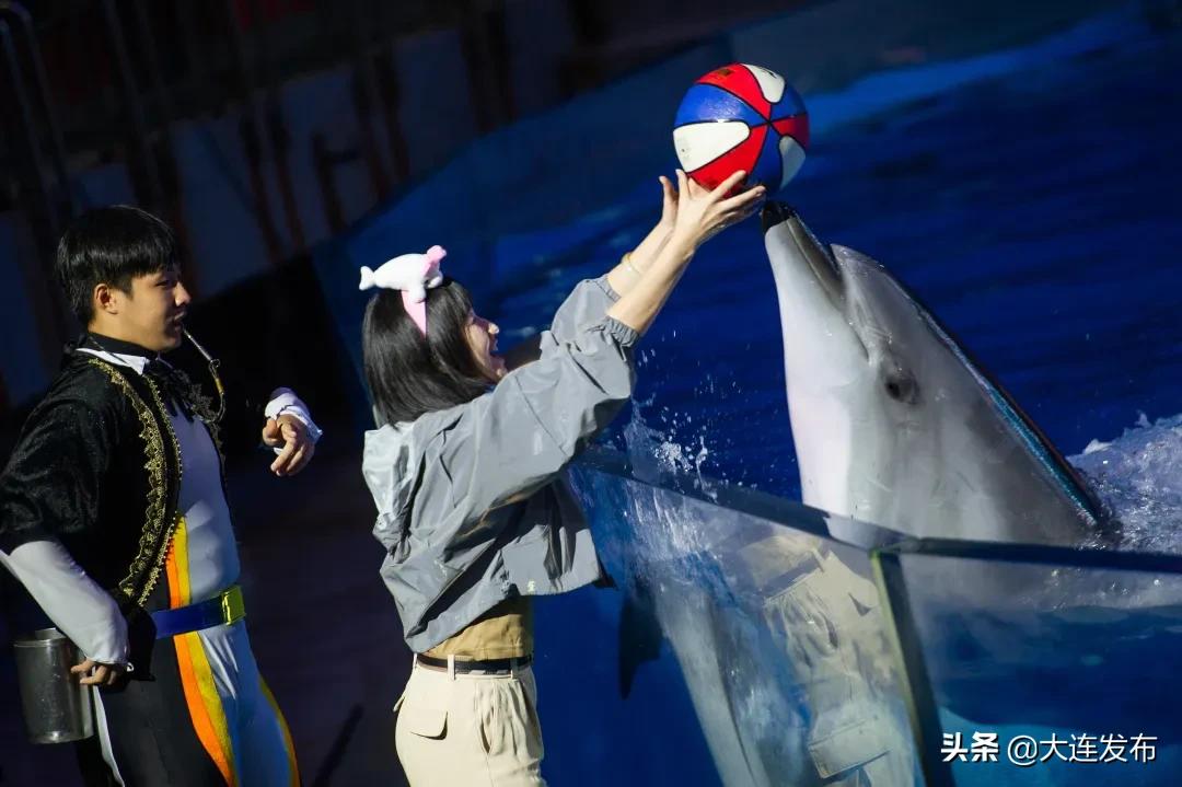 老虎滩旅游优惠,老虎滩61周岁门票优惠政策