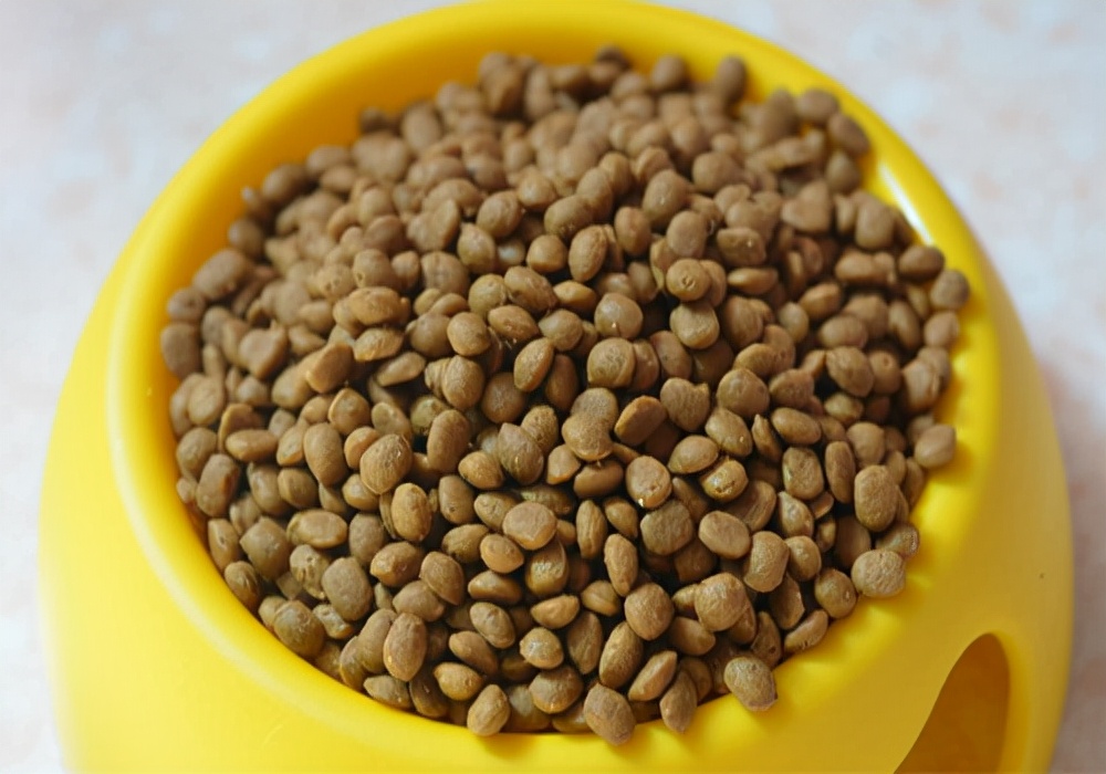 养宠经验分享狗狗怎么去泪痕,养宠经验分享怎样处理狗狗掉毛