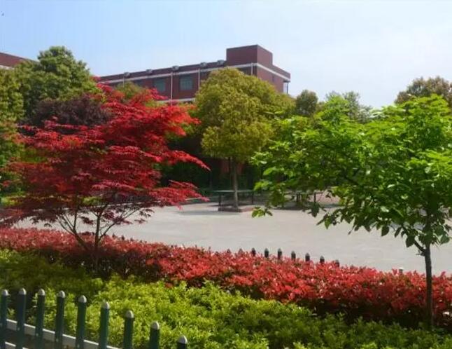 昆山地区十强中学,昆山市排名前十的中学有哪些