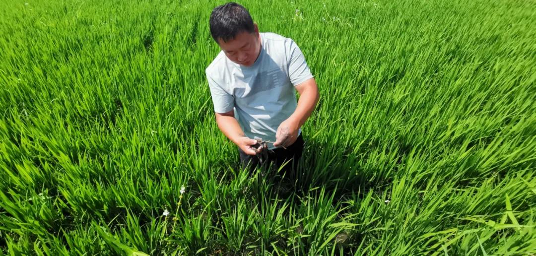 姘寸ɑ瑜愬彉绌楃梾鐥呰弻鐓х墖,姘寸ɑ瑜愬彉绌楃梾鎬庝箞棰勯槻