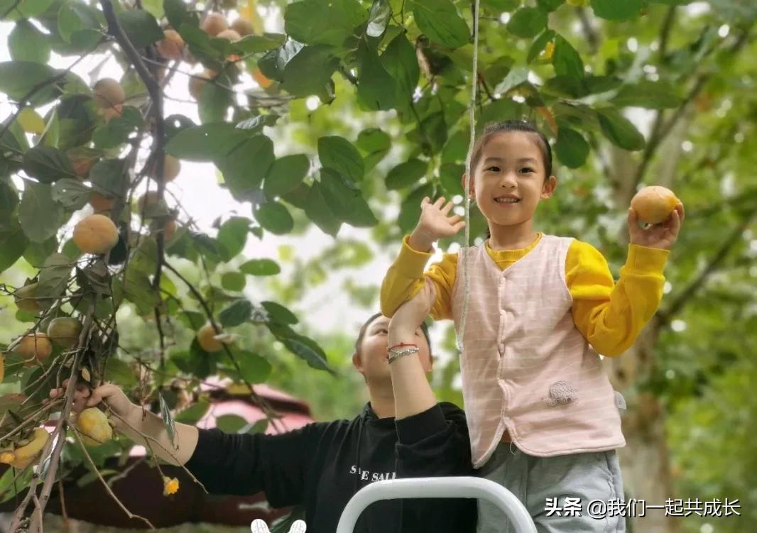 寻一抹秋色，遇一片美好：济南市启明星幼儿园的秋之美