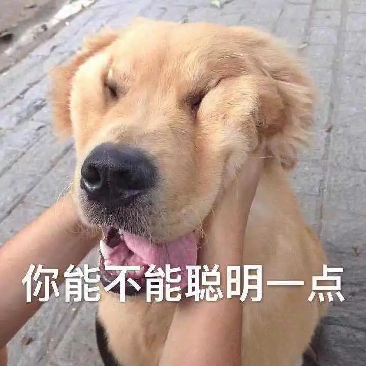 租房攻略关注什么,英国租房怎么维权