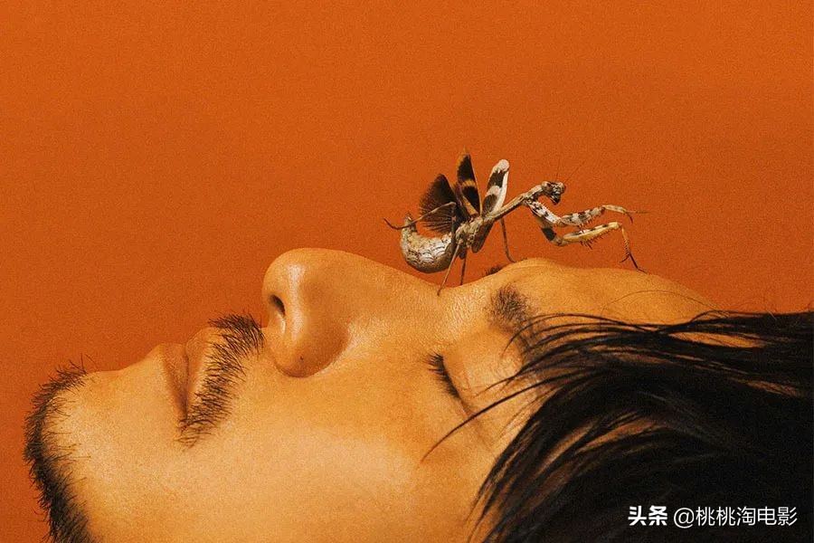 张震新片沙丘,张震图片写真