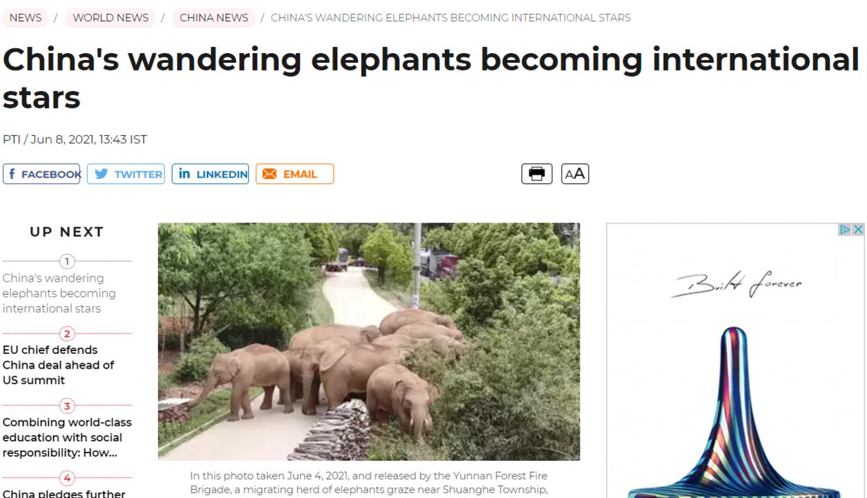 云南象萌翻全世界！外网追直播“吸大象”，夸中国护象措施太可爱