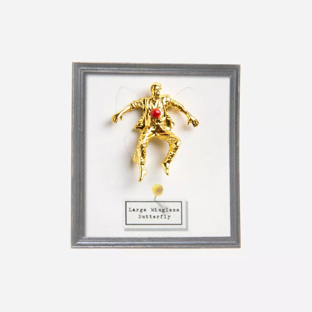 马塞尔万德斯设计师,马塞尔万德斯最新视频