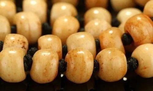果然万物皆可治愈,果然万物皆有灵性