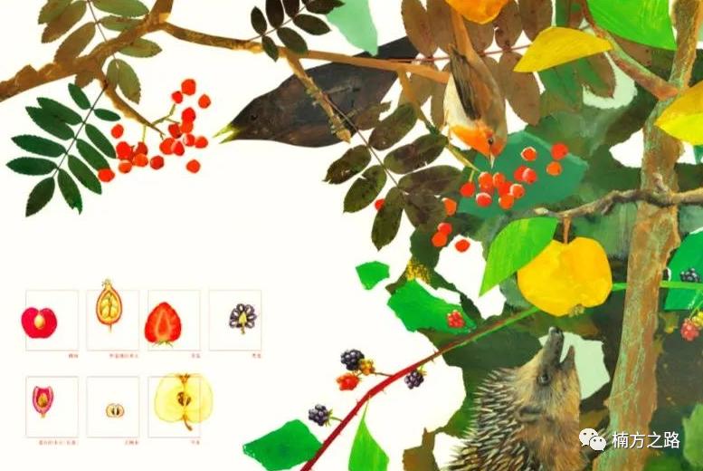 探访菜市场,菜市场探秘