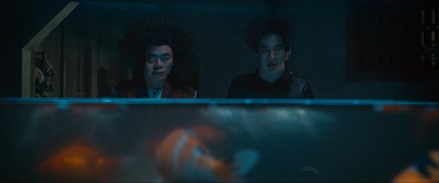 陈凯歌的毒，在《道士下山》里，被王宝强给解了