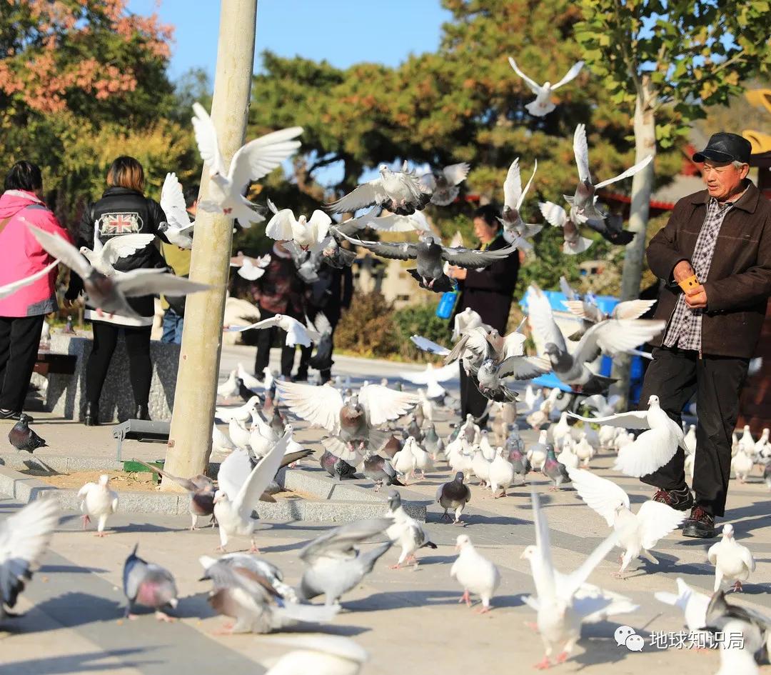 老干部自我要求放松的原因,老干部为什么会放松身体