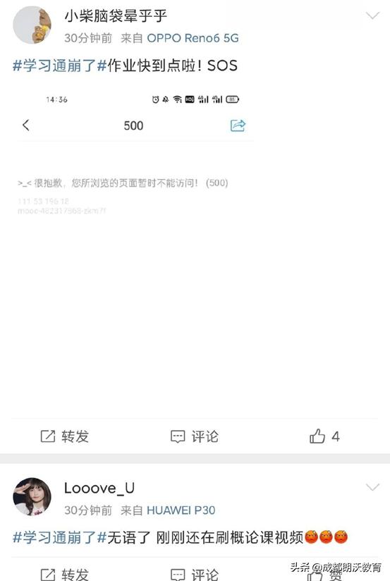 学习通崩了的原因,学习通崩溃