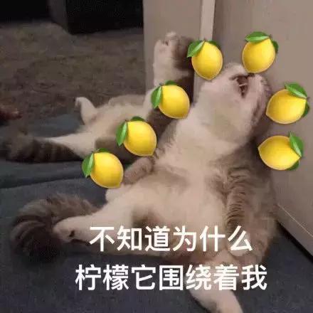 情人节浪漫表白图,情人节的浪漫行程