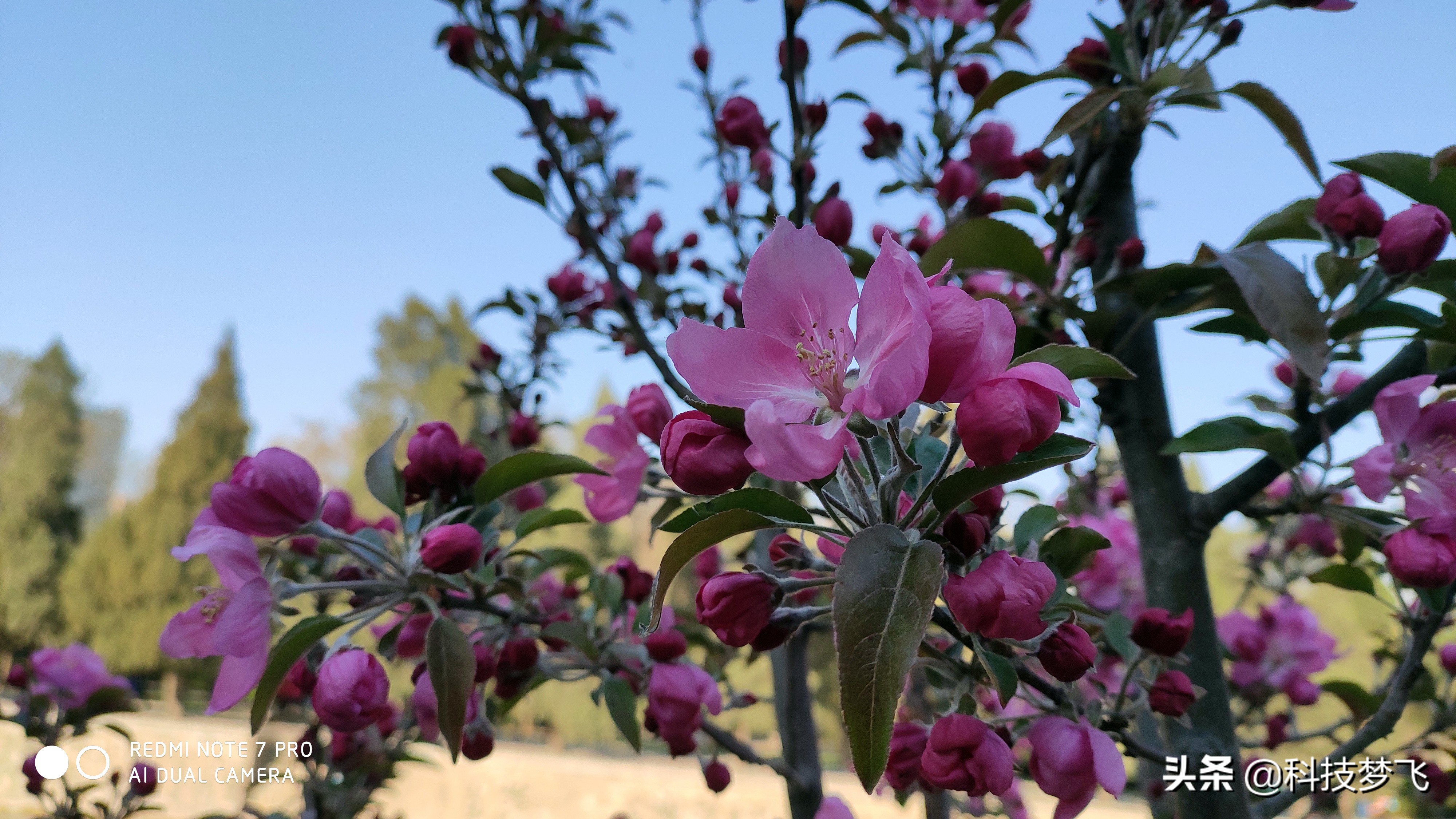 redminote7pro是5g手机吗,redminote7pro稳定版