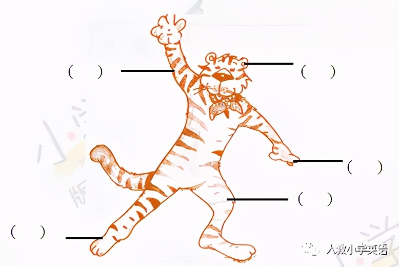 人教pep版三年级下英语期中测试卷,pep三年级上册英语测试卷期中听力