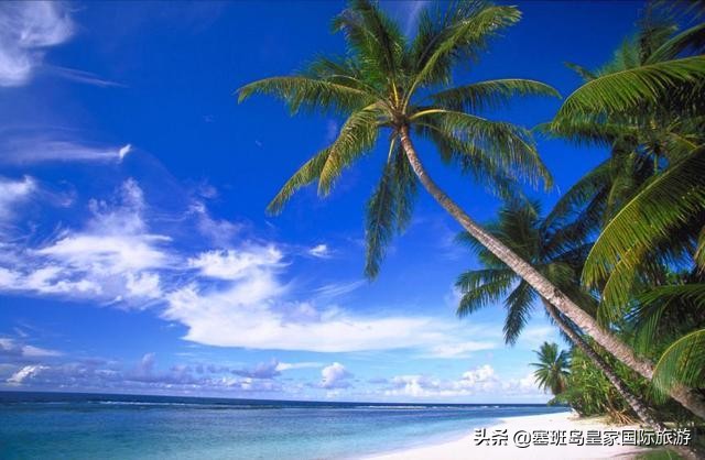 塞班岛旅游美食攻略大全,塞班岛有什么好吃的