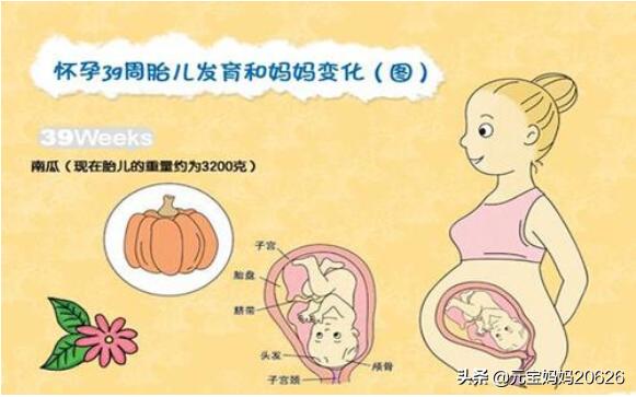 胎儿发育40周妈妈身体变化,39岁孕妈妈应该关注什么