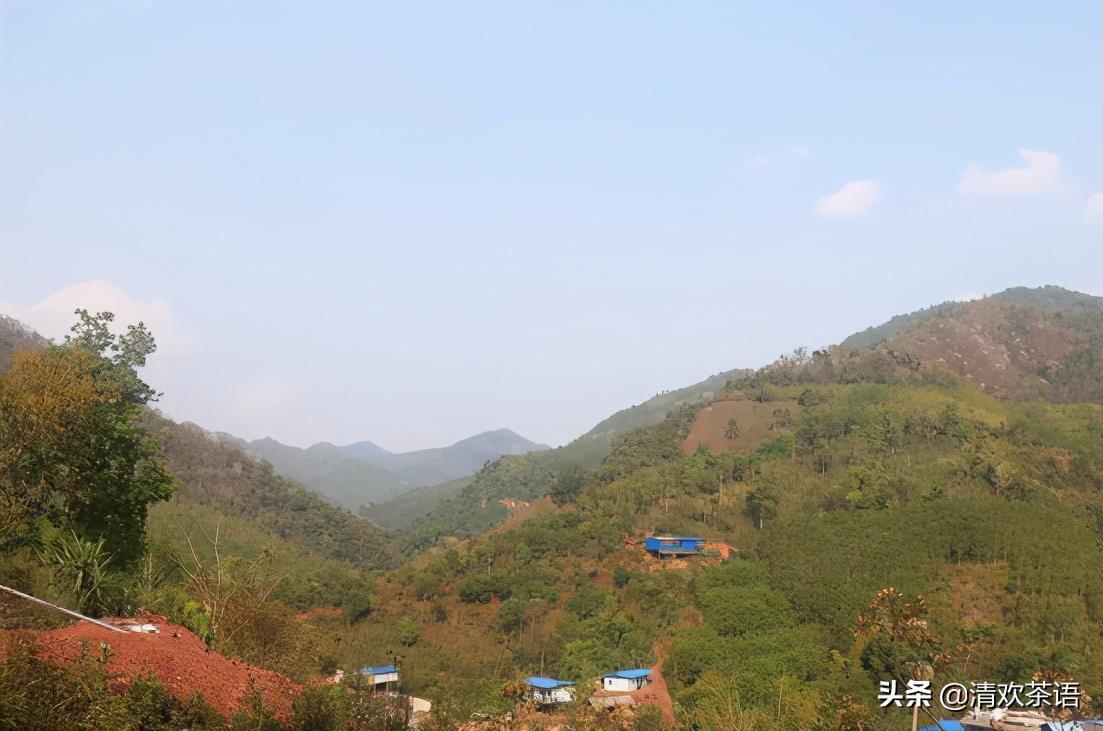 「春访茗山寻味江湖」茗山兵器谱之“七星龙泉剑”——倚邦曼松