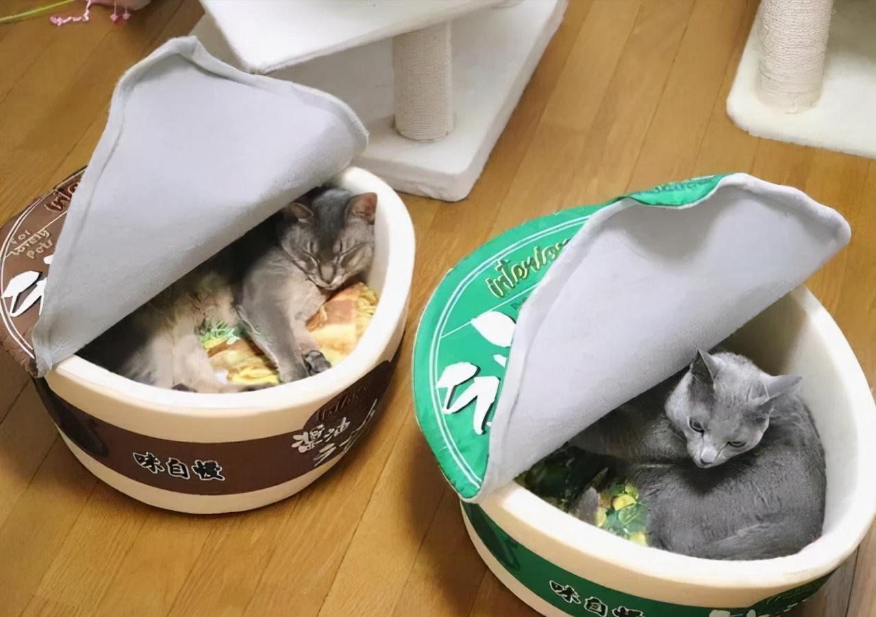 看了这一届网友晒出来的“2猫生活”，相爱又相嫌，好萌又好暖