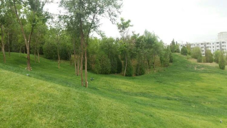 学乒乓球的书,乒乓球王新文