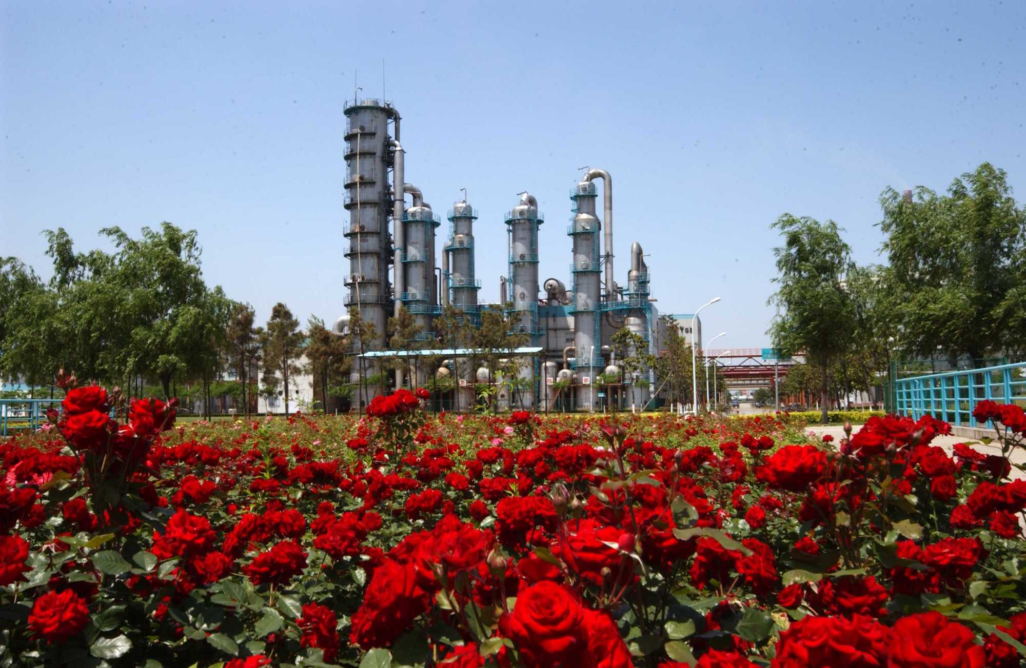 河南南阳天冠厂现状,南阳天冠集团目前详情