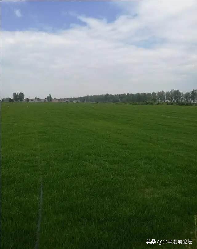 回忆过去珍惜现在展望未来,回忆过去珍惜现在的句子