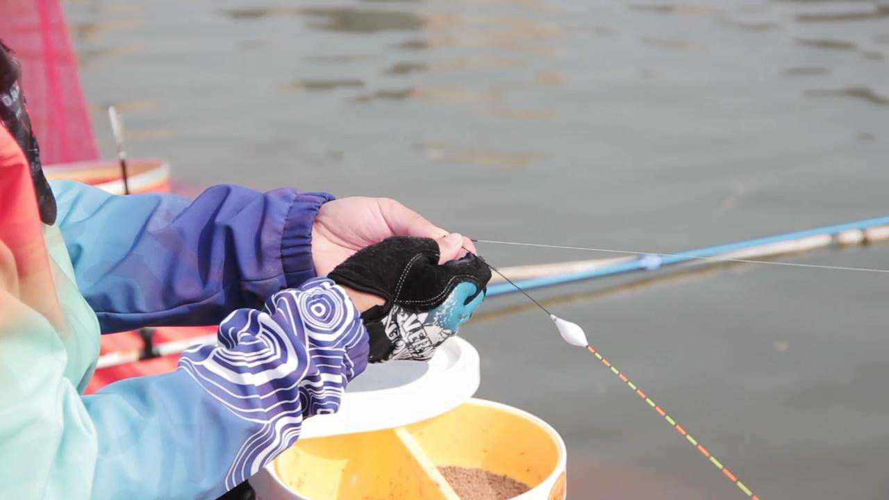 钓鱼王疯钓鲤推荐配方,钓鲤秘方