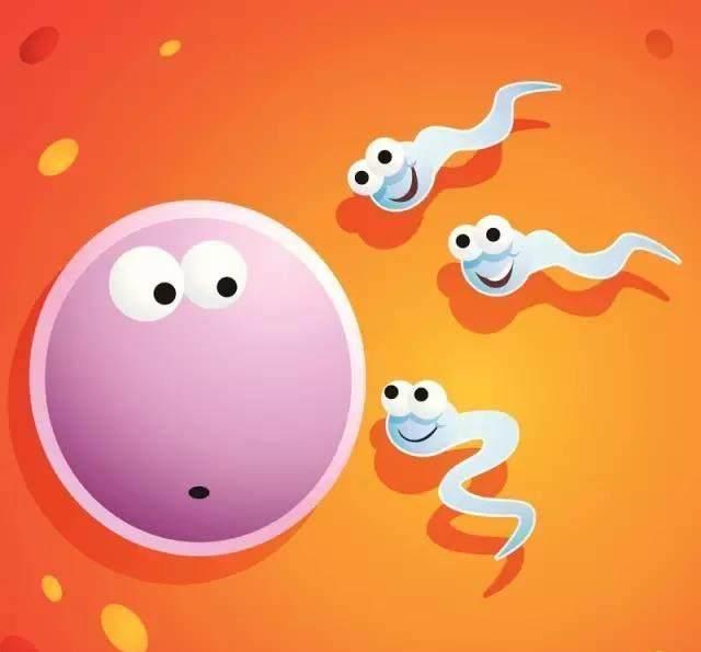 精子量很多好吗,精子量多了跟质量有关吗
