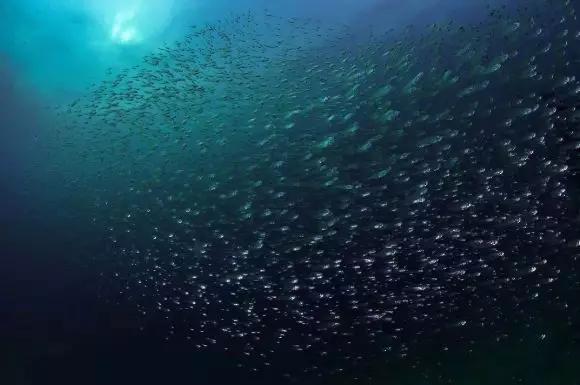 晚上的海棠湾,海棠湾真的很美