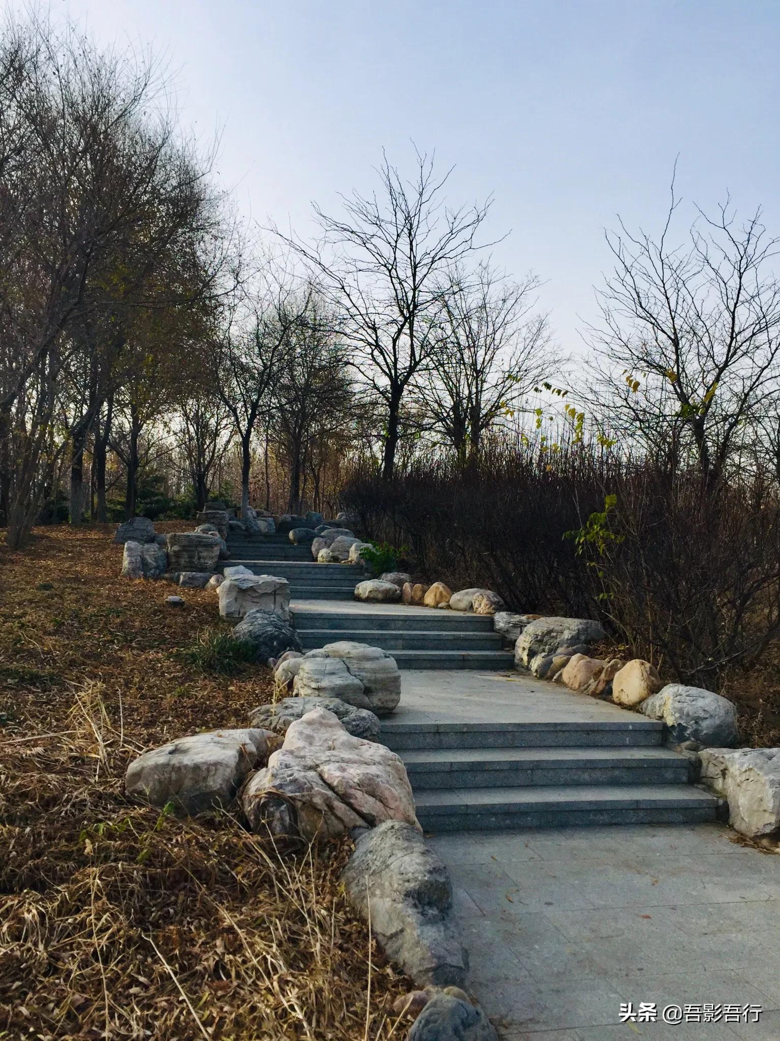 武清津北森林公园有哪些风景,天津武清森林公园开放时间表