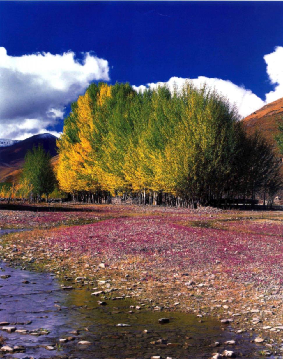 几月去稻城亚丁比较好,几月去稻城亚丁好看