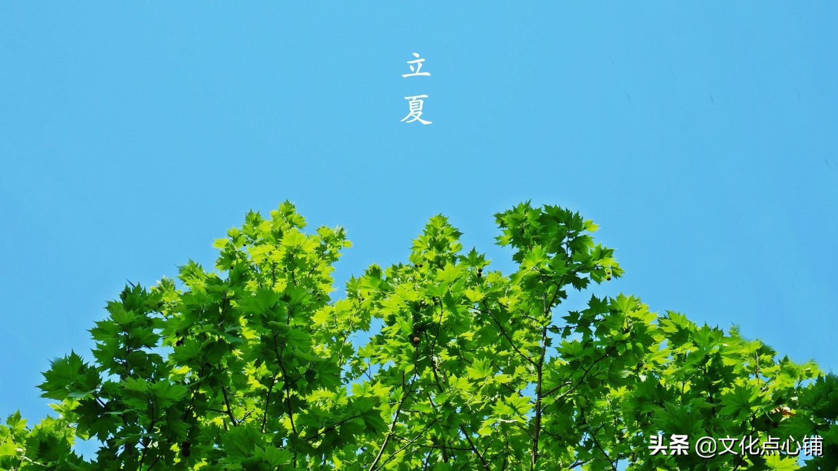 时光荏苒念清欢,岁月静好唯美句子古诗