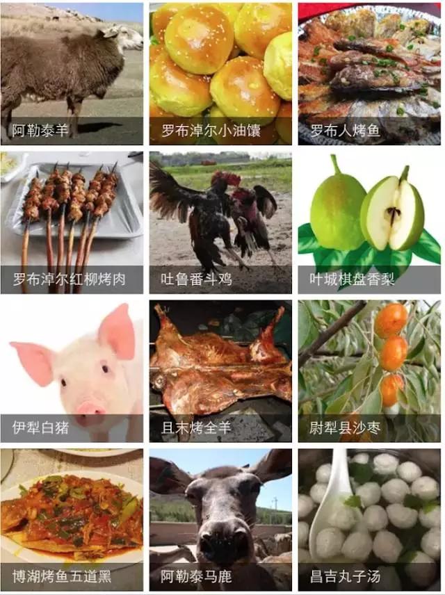 南北疆的特产有哪些,盘点十大新疆的特产