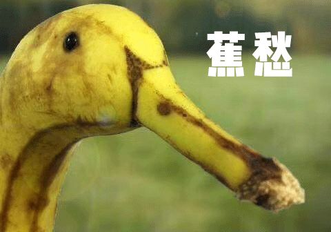 淘宝神器推荐,淘宝懒人软件多少钱