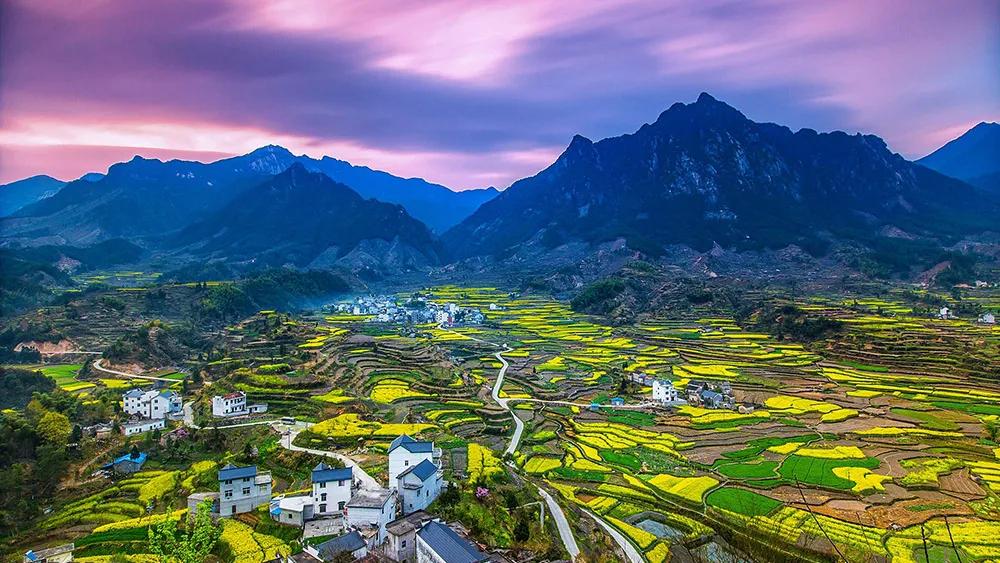 油菜花风景点,罗平县小油菜花