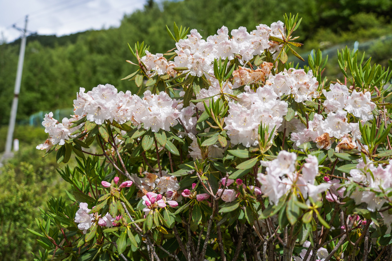 距离成都最近的户外天堂，这里比瑞士、阿尔卑斯还美