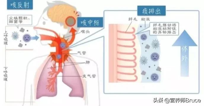 不咳嗽长期痰多,长期痰多咳嗽怎么办