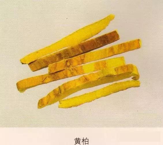 中药材图片大全大图带药名,200多味中药材图谱带图