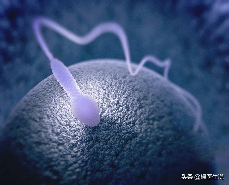 去医院检查精子前关注什么,去医院检查精子之前要准备什么