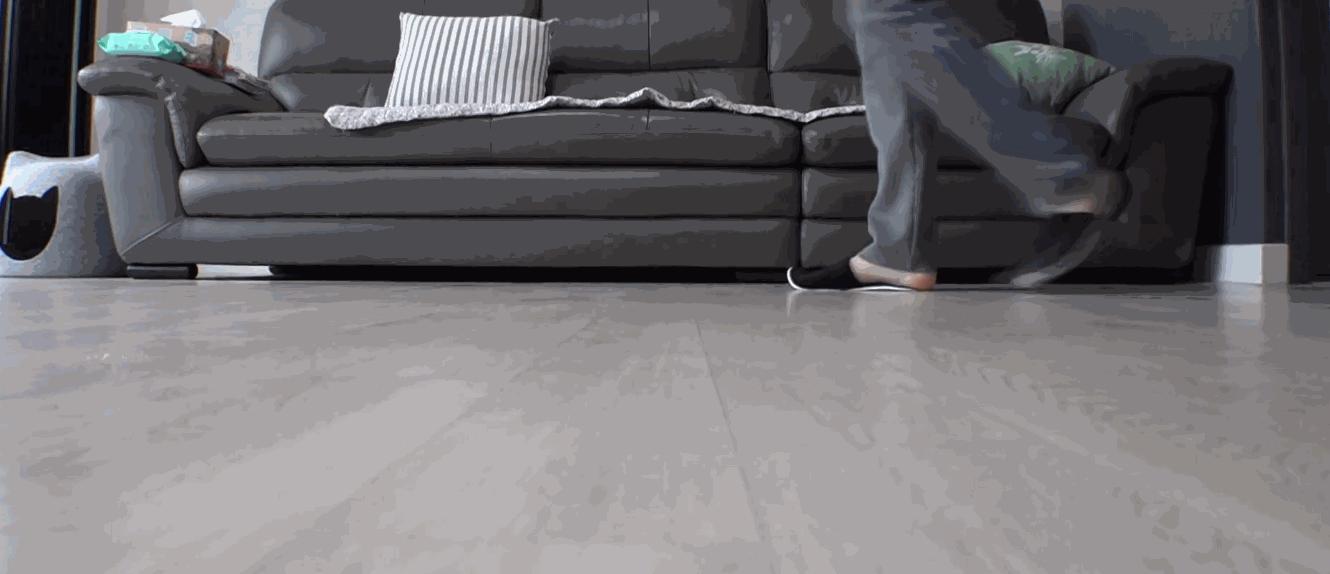 狗狗一直转圈圈还用爪子刨被子,狗狗每天都趴又拉又吐