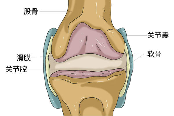 得了滑膜炎怎样锻炼恢复,得了滑膜炎怎么锻炼好