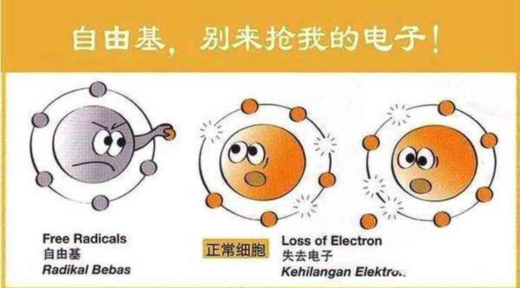 美肤抗初老护肤必选,美肤抗衰老效果