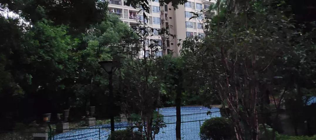 踩盘广州金沙洲,广州金沙洲有哪些新楼盘