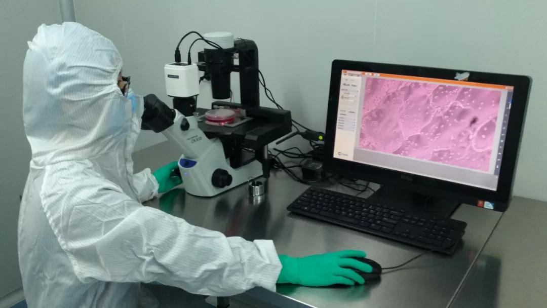 新诚生物科技有限公司招商,新诚生物技术有限公司