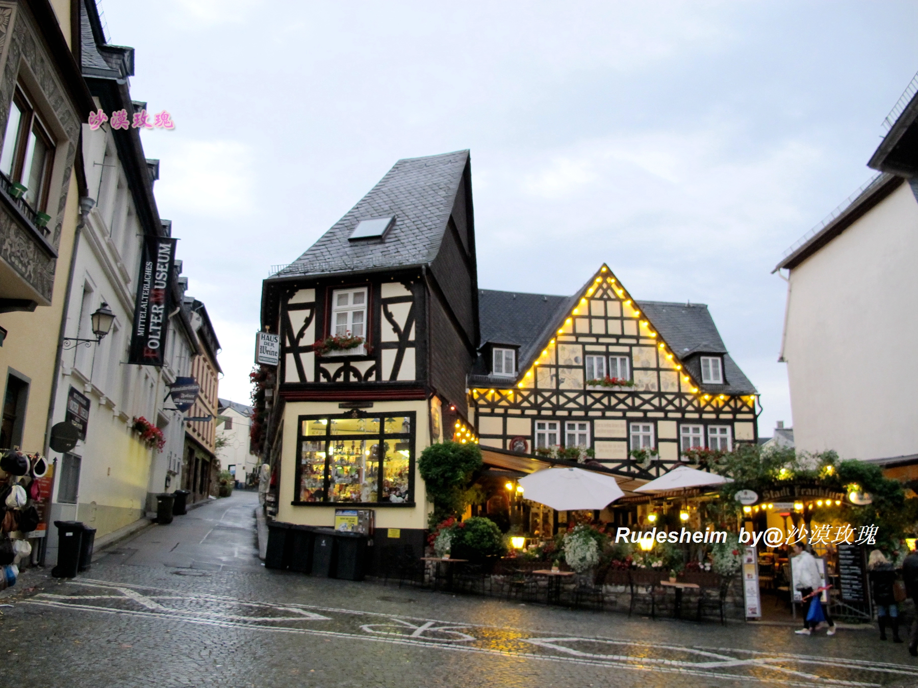 莱茵河葡萄酒小镇,莱茵河畔的葡萄小镇