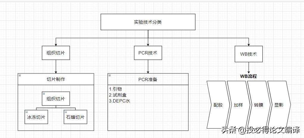 免费流程图制作软件哪个好,免费流程图生成软件